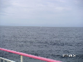 s_PICT0169s.png